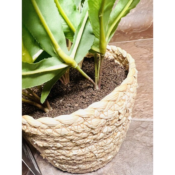 Threshold 12" Faux Fern Artificial Plant with Rattan Pot Basket - New - Picture 6 of 7